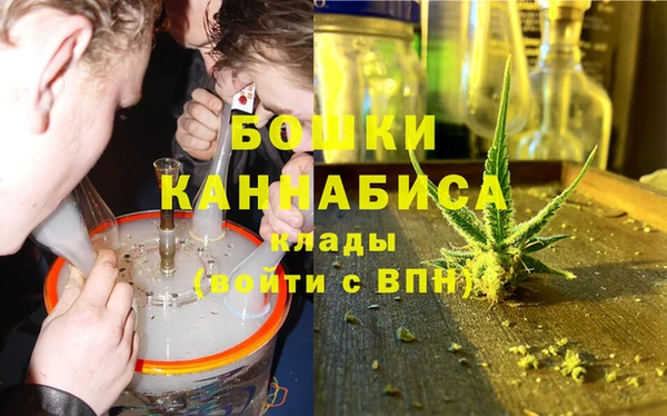 трава Дмитриев