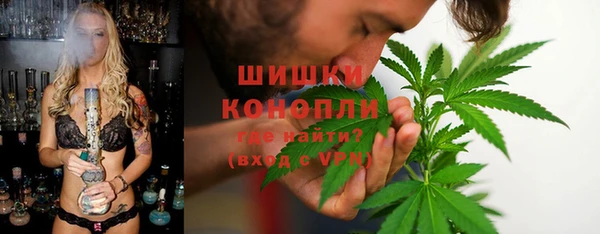 трава Дмитриев