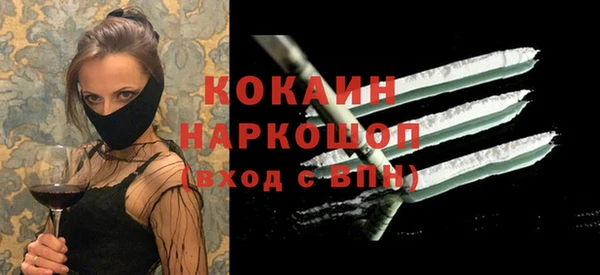 шишки Дмитров