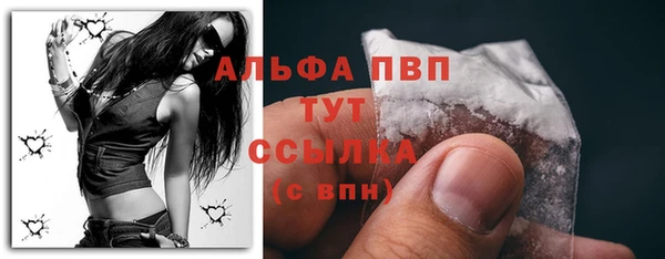шишки Дмитров