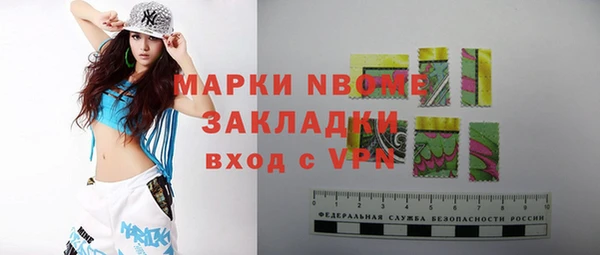 шишки Дмитров