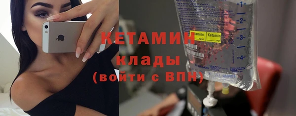 шишки Дмитров