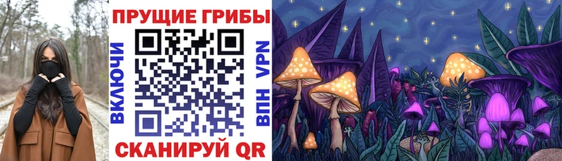 Купить где  Кисловодск  Галлюциногенные грибы Psilocybe 